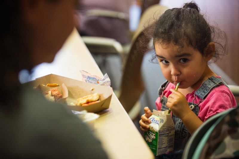 Back to School: Free and Healthy School Meals to Help Your Kids Learn