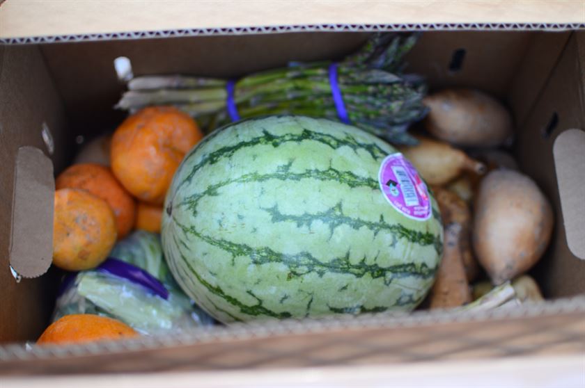 Free groceries picked up at a drive-thru distribution at Cathedral of Faith in San Jose - These are our client Margarita's free groceries for her family