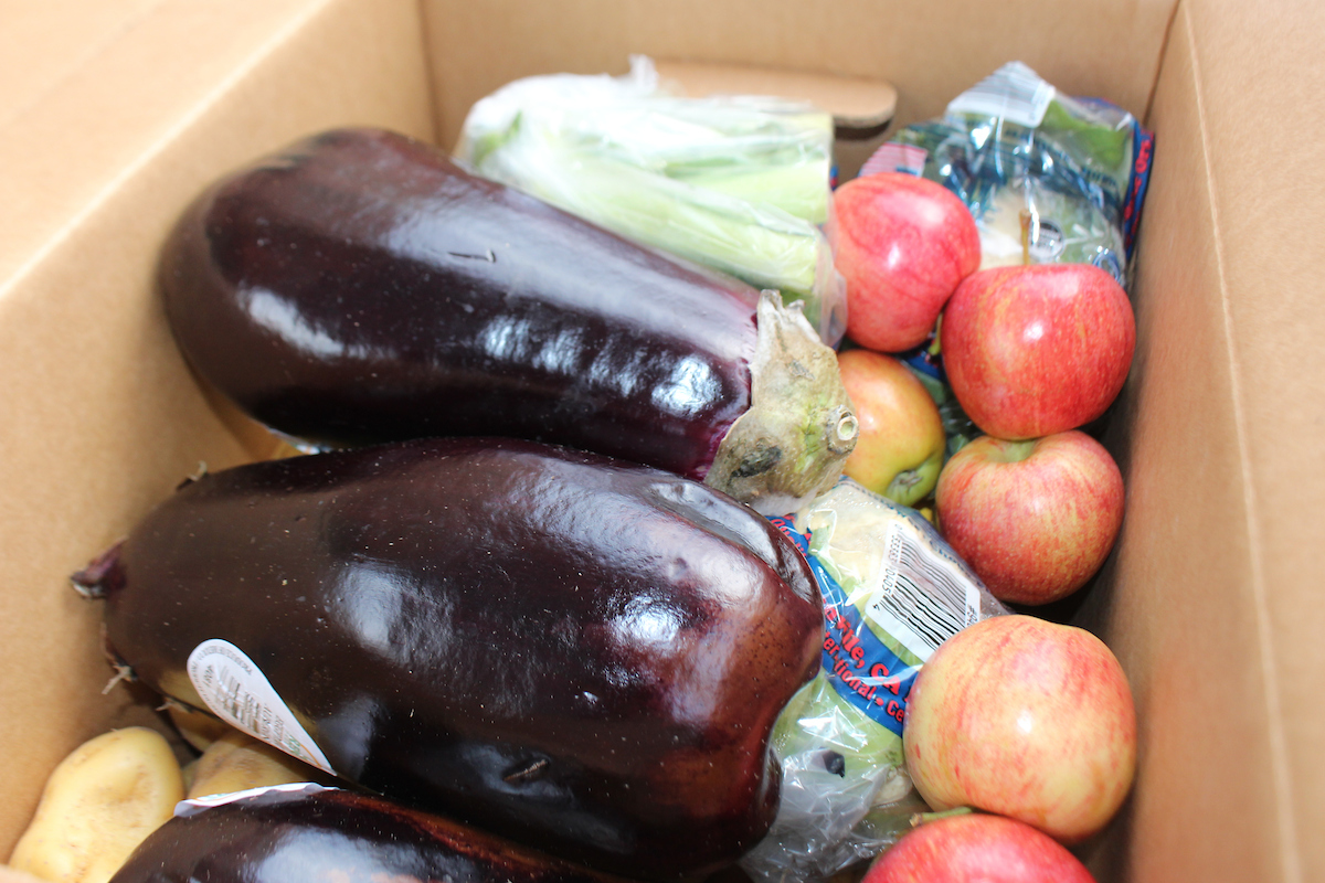 Eggplant from Second Harvest