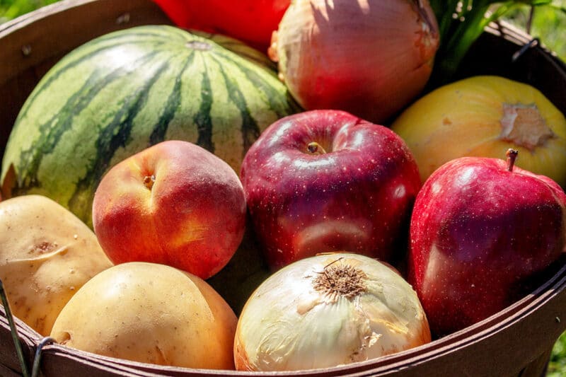 Brain Health Starts with Access to Nutritious Food
